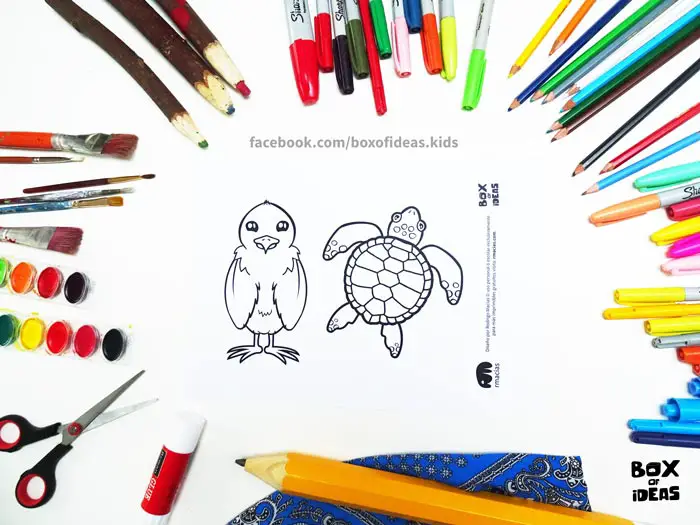 printable-preview-Bird-and-Turtle-Animal-adults-and-Kids-Drawings-for-Inclusive-DIY-Modern-Fathers-Day-Card-by-box-of-ideas-03